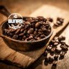 قهوه عربیکا کنیا AB