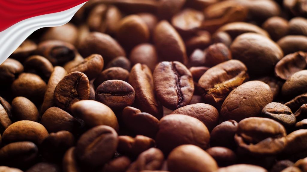 قیمت قهوه عربیکا اندونزی ماندلینگ