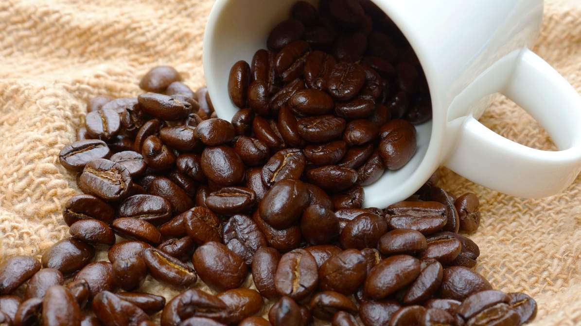 خرید قهوه عربیکا