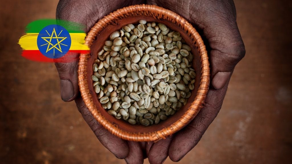 خرید قهوه عربیکا اتیوپی لکمپتی