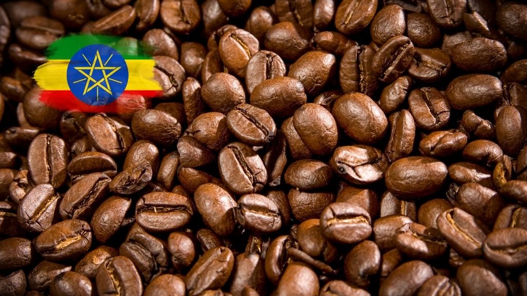 خرید قهوه عربیکا اتیوپی لیمو بروکا