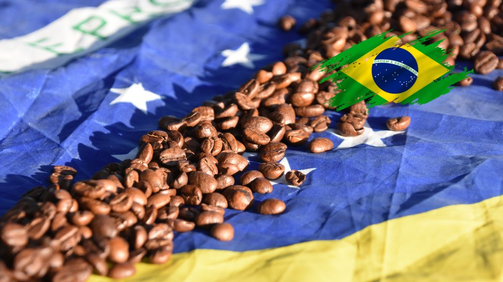 خرید قهوه عربیکا برزیل سانتا فازندا