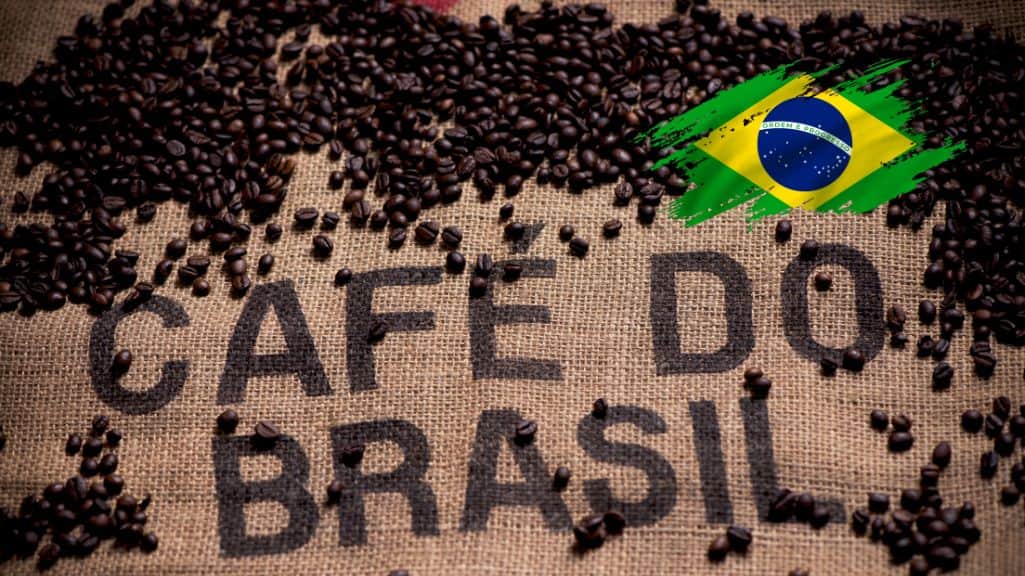 قیمت قهوه عربیکا برزیل سانتا فازندا