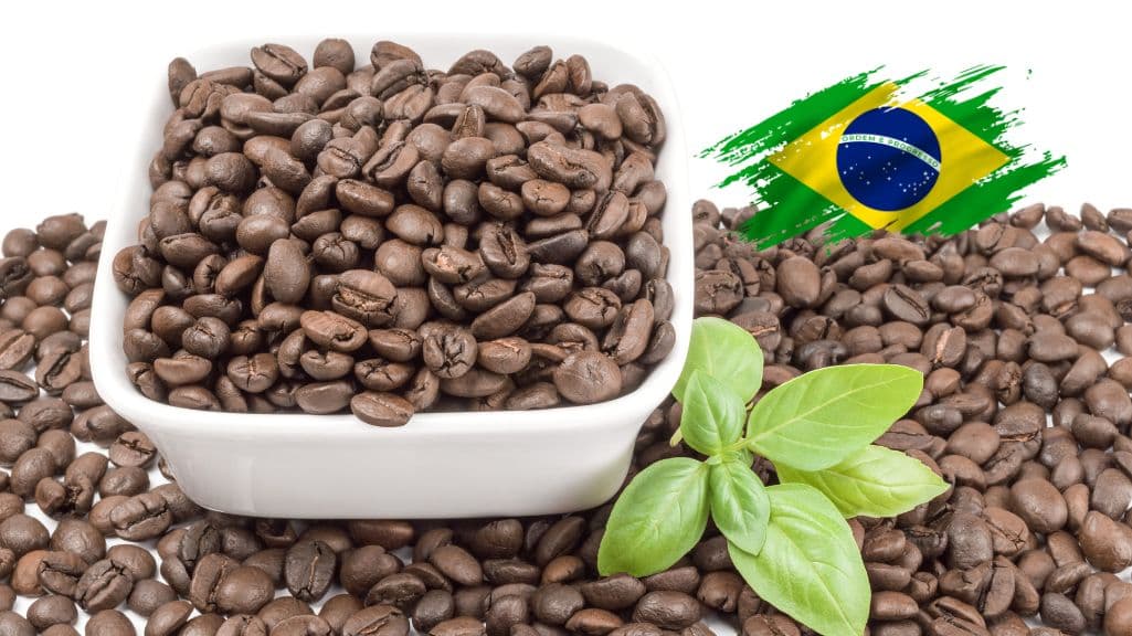 قهوه برزیل سانتا فازندا