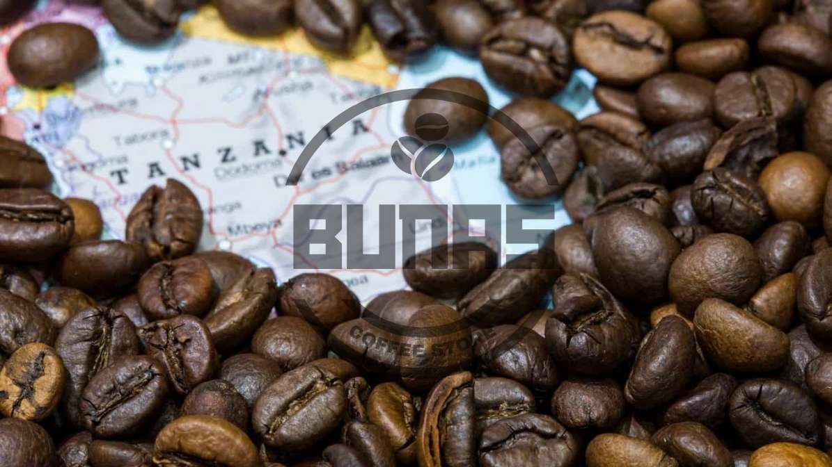 قهوه تانزانیا