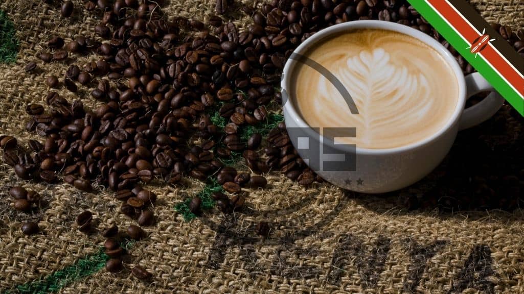 قهوه کنیا یکی از پنج قهوه برتر جهان است
